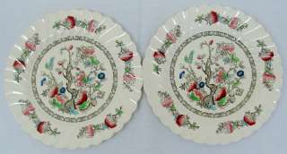 Set of 8 Myott Staffordshire Indian Tree Dinner Plates  