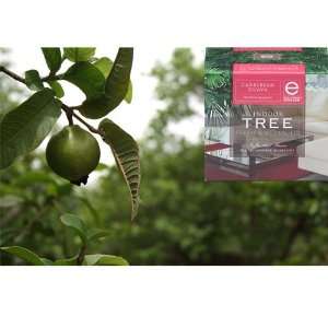  Indoor Tree Growing Kit  Caribbean Guava *Clearance 