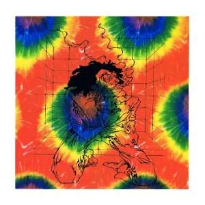  Tie Dye INSTITUTIONALIZED Wall Hanging 43 x 40