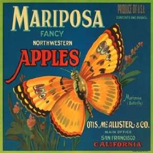  Mariposa Vintage Wall Art