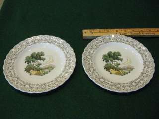 AMERICAN LIMOGES CHINA CHATEAU FRANCE PATTERN PR SALAD PLATES  