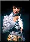 Elvis Presley Lei Magnet 29763E  