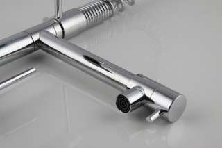 Professional Chrome Kitchen Faucet With Pull Out Spray Shower 0323 