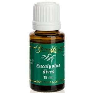   EssentialOilsLife   Eucalyptus Dives   15 ml