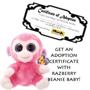  Ty Razberry Monkey Beanie Baby with Adoption Certificate 