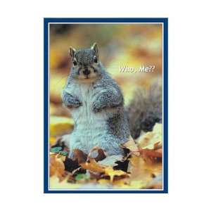 Puzzle, Who Me? 500 pc   Confused Squirrel, Small Parts, Not Suitable 