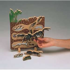  Ant Lifecycle Puzzle Toys & Games