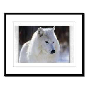  Large Framed Print Arctic White Wolf 