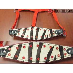 Show Horse Halter With Red Nylon Noseband  Sports 