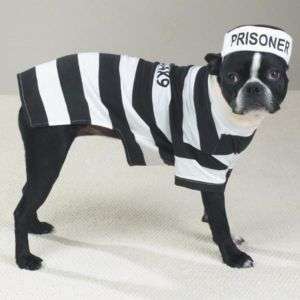 PRISONER POOCH Dog Pet Halloween Costume XS S M L XL  