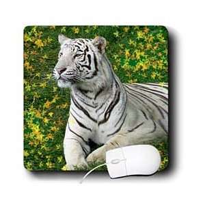  Tigers   White Tiger   Mouse Pads Electronics