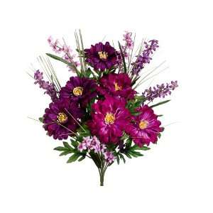  20 Zinnia/Bell Flower Bush x12 Purple Orchid (Pack of 12 