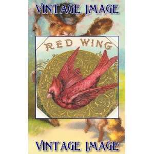  5cm) Acrylic Fridge Magnet Bird Red Wing Vintage Image
