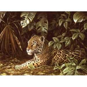  Guy Coheleach   Jungle Cover Jaguar