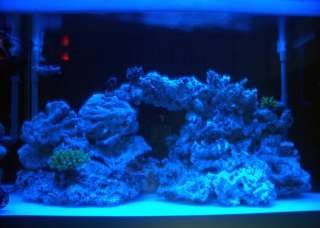 72 Moon Light Moonlight Shimmer 30 LED Fish Aquarium Reef Fresh Power 