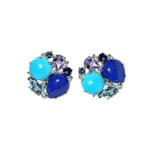    Bouquet Earrings   Button Studs   Turquoise & Lapis ANZIE Jewelry