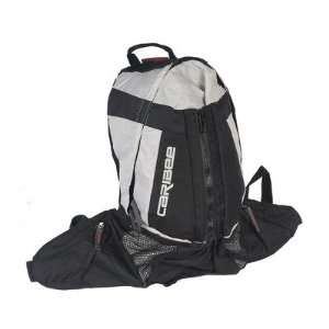  Caribee 506413 Helix Day Pack Color Silver Sports 