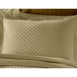  Charter Club Damask Quilted Standard Sham Taupe