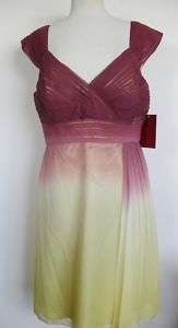 NWT JS Collections piped mesh chiffon Dress 16 $170  