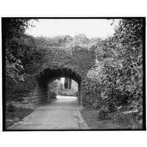  Ivy arch bridge in Delaware Park,Buffalo,N.Y.