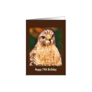  Birthday, 74th, Red shouldered Hawk Card Toys & Games