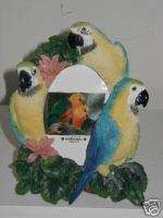 BLUE & GOLD MACAW PARROT PICTURE PHOTO FRAME 3 1/2 x 5  