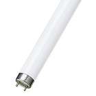     F14T8/D   14W DayLight 6500K T 8 G13 Base Fluorescent Light Bulb