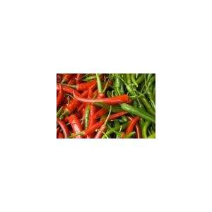  Todds Seeds   Cayenne Long Red Thin Hot Pepper Seed   1g Seed 