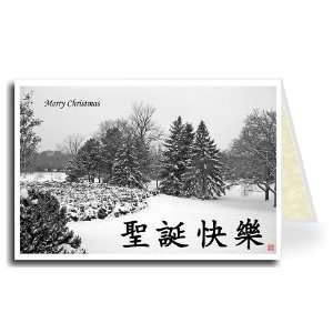  Chinese Greeting Card   Snowy Trees in Park Merry Christmas 