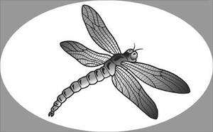 DRAGONFLY static cling etched glass window decal  
