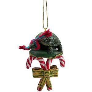  Turtle Candy Cane Christmas Ornament