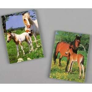  Horse Background Note Pad 