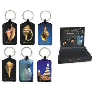 Key Fob with Display Shell 6 Styles Case Pack 24