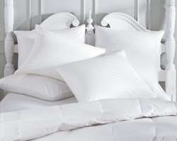 Down Etc ® 25% White Goose Down/ 75% White Goose Feather Pillow