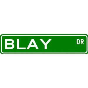  BLAY Street Sign ~ Personalized Family Lastname Sign 