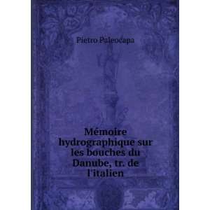   sur les bouches du Danube, tr. de litalien Pietro Paleocapa Books