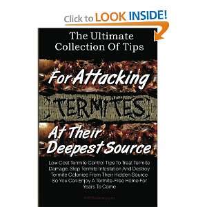  The Ultimate Collection Of Tips For Attacking Termites At 