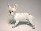   handpainted augarten french bully dog mib 