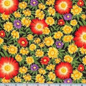  45 Wide Flower of the Month Asters September 08 Black 