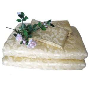   SilkNOW 100% Pure Silk Comforter Set King Ivory