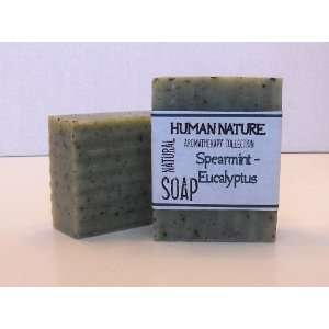  Spearmint Eucalyptus Soap (2 Bars) Beauty