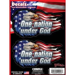  Rip N Tear American Eagle w/ USA Patriotic Flag Decal 
