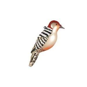    Cobane Studio Red Bellied Woodpecker Ornament