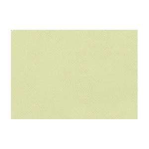  Great American Art Works Soft Pastel   Box of 3   Zest 565 