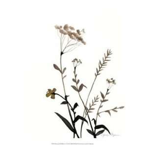  Watermark Wildflowers X by Jennifer Goldberger 13x16