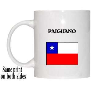  Chile   PAIGUANO Mug 