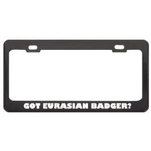 Got Eurasian Badger? Animals Pets Black Metal License Plate Frame 