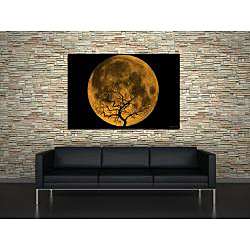 Maxwell Dickson Orange Moon Canvas Wall Art  