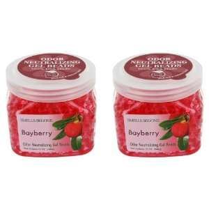  Smells BeGone Bayberry Gel Bead Odor Neutralizers   2 Pack 