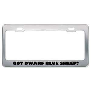 Got Dwarf Blue Sheep? Animals Pets Metal License Plate Frame Holder 
